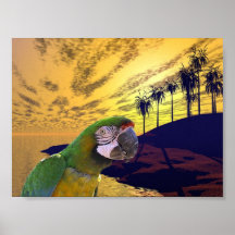 Paraíso de los loros posters