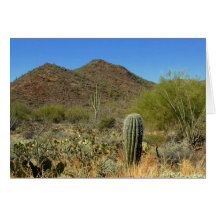 Paraíso del desierto tarjetón