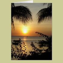 Paraíso tropical tarjetas