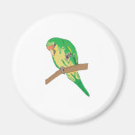 parakeet verde imanes de nevera