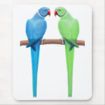 Parakeets Mousepad de Ringneck del indio Tapetes De Ratón
