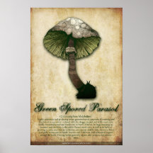 Parasol verde de Spored Impresiones