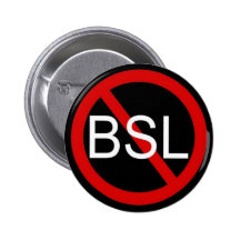 PARE BSL PIN