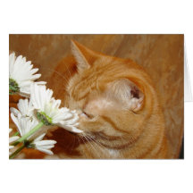 Pare para oler la tarjeta de las flores