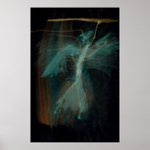 Pared de la ciudad poster