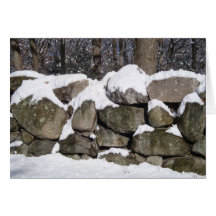 pared de la nieve felicitacion 