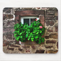 Pared de piedra con las plantas de la ventana alfombrilla de raton