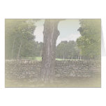 Pared de piedra Notecard Tarjeton