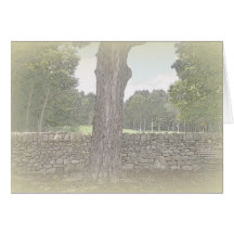 Pared de piedra Notecard Tarjeton