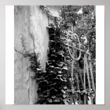 Pared del jardín con la hiedra impresiones