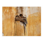 pared tarjetas postales
