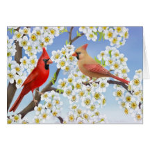 Pares cardinales en tarjeta de los flores de Apple