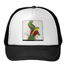 Pares Carmesí-Cons alas del Parakeet de Edward Lea Gorros