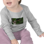 Pares de americano Redstarts con la jerarquía Camisetas