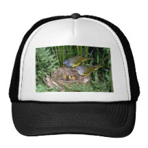 Pares de currucas de luto con los jóvenes gorra