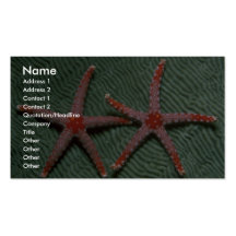 Pares de estrellas de mar del bastón de caramelo d tarjetas de visita