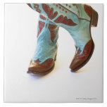 Pares de los zapatos 3 del vaquero azulejos