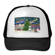 Pares de Navidad Magia-Bull Terrier Gorras