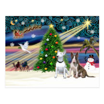 Pares de Navidad Magia-Bull Terrier Postal