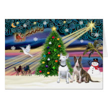 Pares de Navidad Magia-Bull Terrier Tarjetón