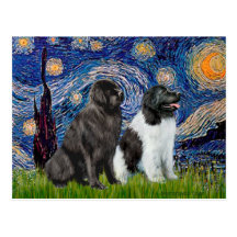 Pares de Newfie (B1+L) - Noche estrellada Postal