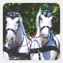 pares de percherons calcomania cuadradas