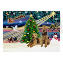 Pares de XmsMagic-AIREDALE Tarjeton