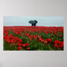 Pares del paraguas en los tulipanes poster