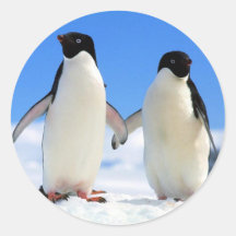 Pares del pingüino pegatinas redondas