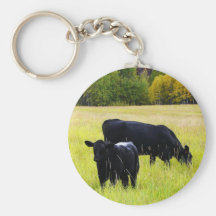 Pares negros de Angus en campo Llaveros