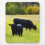 Pares negros de Angus en campo Tapetes De Raton
