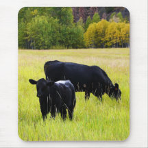 Pares negros de Angus en campo Tapetes De Raton