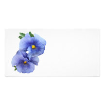 Pares tímidos del pensamiento tarjetas fotograficas 