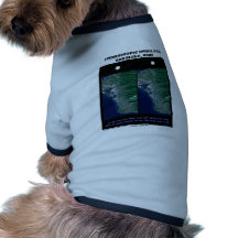 pares tridimensionales Honolulu, Oahu de la imagen Camisetas De Mascota