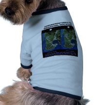 Pares Wellington Nueva Zelanda de la imagen estere Camisas De Mascota
