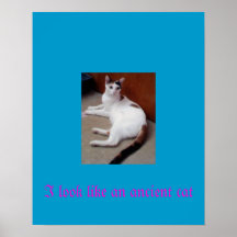 Parezco un gato antiguo poster