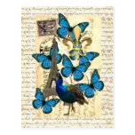 París, pavo real y mariposas postal