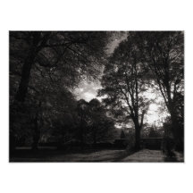 Parque Cardiff del Bute del paisaje del otoño Impresiones Fotográficas