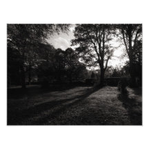 Parque Cardiff del Bute del paisaje del otoño Impresiones Fotograficas