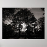 Parque Cardiff del Bute del paisaje del otoño Poster