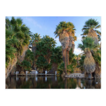 Parque de Caliente del Agua Tarjeta Postal