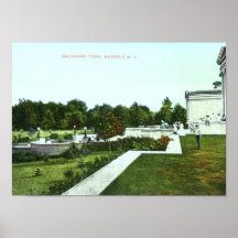 Parque de Delaware, vintage 1910 del búfalo Impresiones