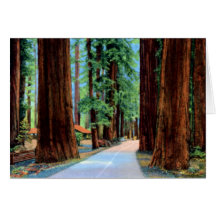 Parque de estado de la secoya de Eureka California Tarjetón