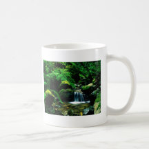 Parque de estado del Mt. Tamalpais, CA Tazas De Café