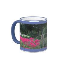 Parque de la reina Victoria, Niagara Falls Taza De Café