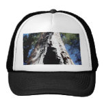 Parque de la secoya gorros bordados