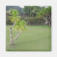 Parque de McArthur, Palo Iman Para Frigorífico