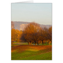 Parque de Rheinaue Tarjeta