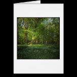 Parque del Bute de la primavera, Cardiff, País de  tarjetas