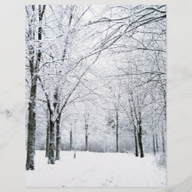Parque del invierno tarjetas informativas